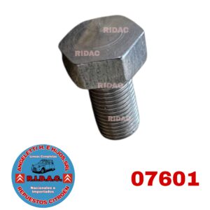 TORNILLO TAZA DE RUEDA INOX. GRUESO LARGO | Codigo Ridac: 07601