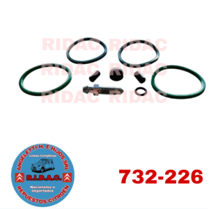 REPARACIÓN CALIPER DYANE LHM IMPORTADO | Codigo Ridac: 732-226