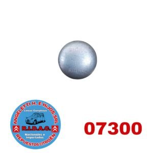 TAPON EXPANSIBLE PIÑON DE DIRECCIÓN | Codigo Ridac: 07300